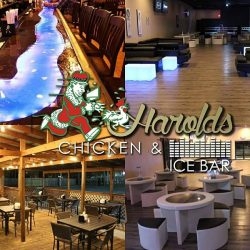 Harold's Chicken and Ice Bar - Marietta